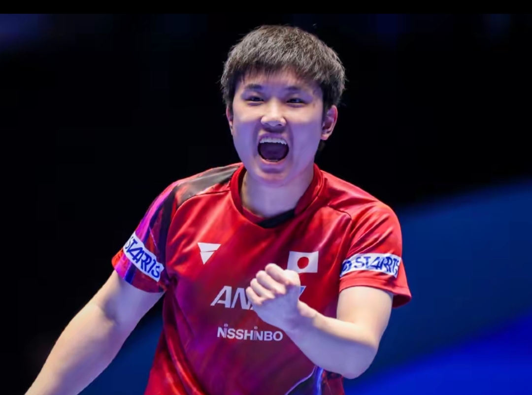 文图斯不仅 文图斯不仅